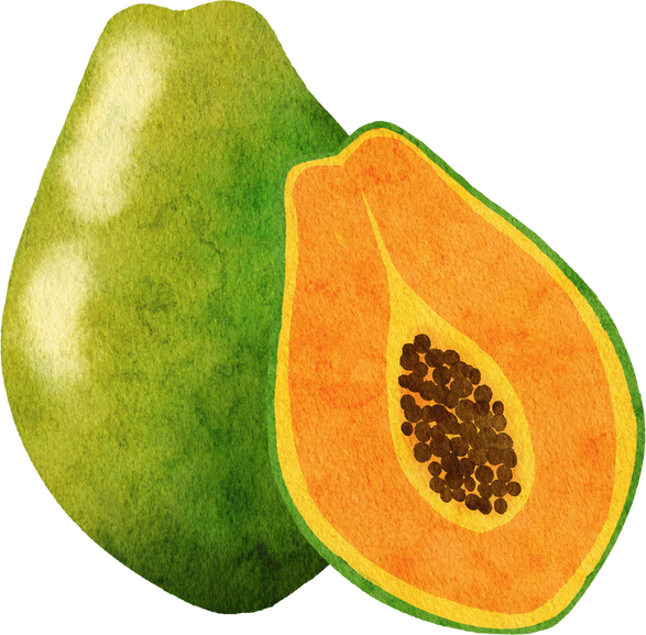 papaya 